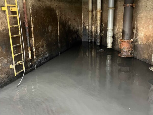 clam-shells-sediment-removal