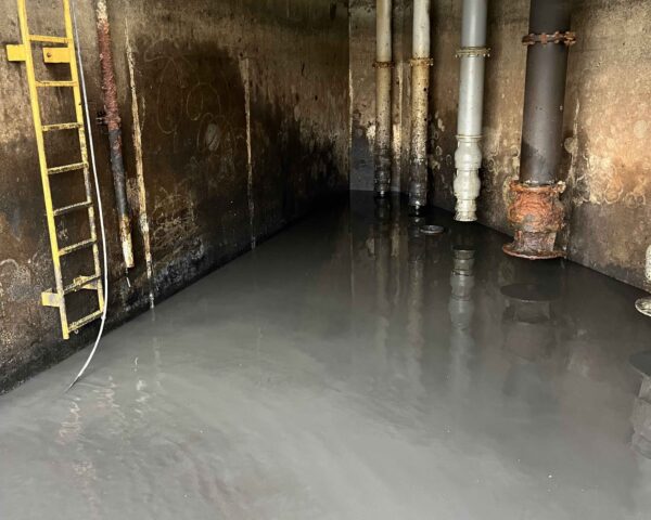 CASE STUDY: Restoring Water Flow for Colusa County